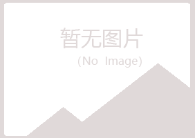 阳泉盼夏建设有限公司